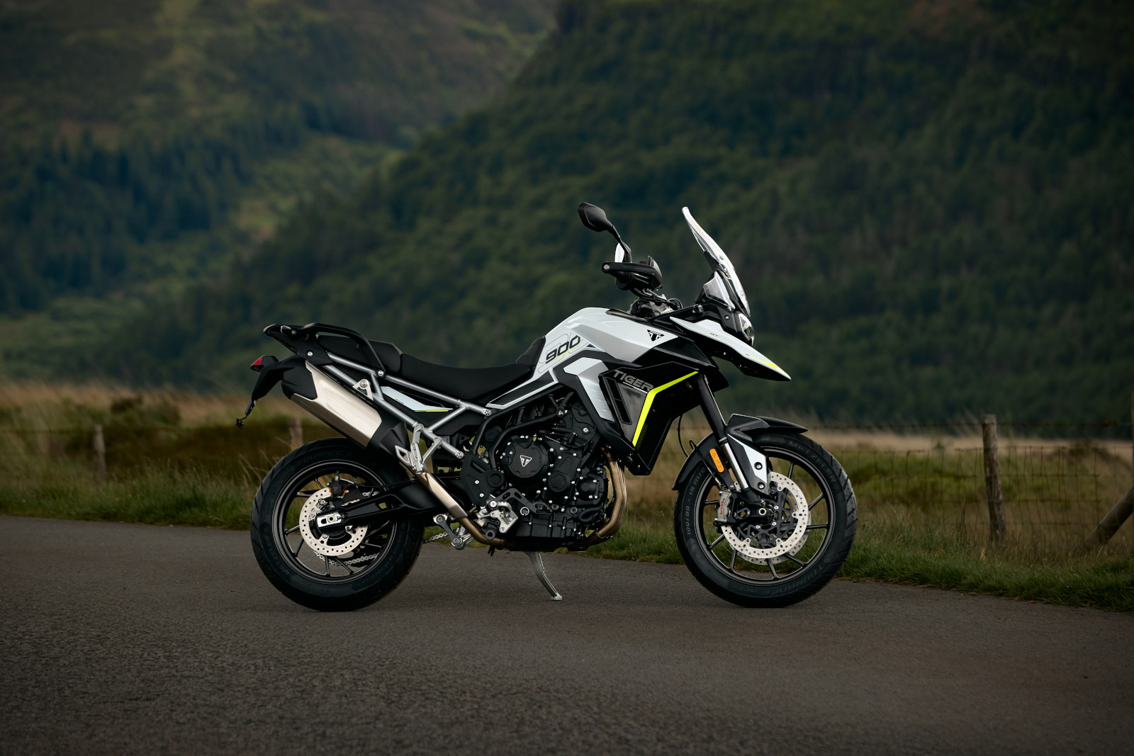 tiger-900-rally-pro