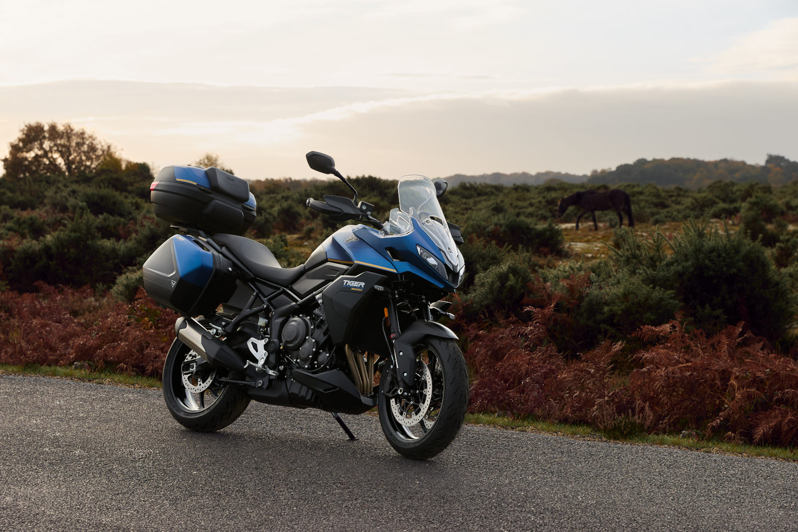 tiger-sport-800-tour