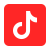 icons8-tiktok-250